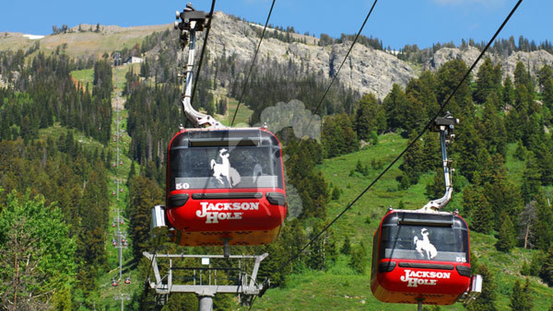 jackson hole trip packages