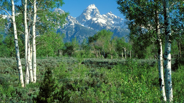 Spring in Jackson Hole: 5 Things to Do