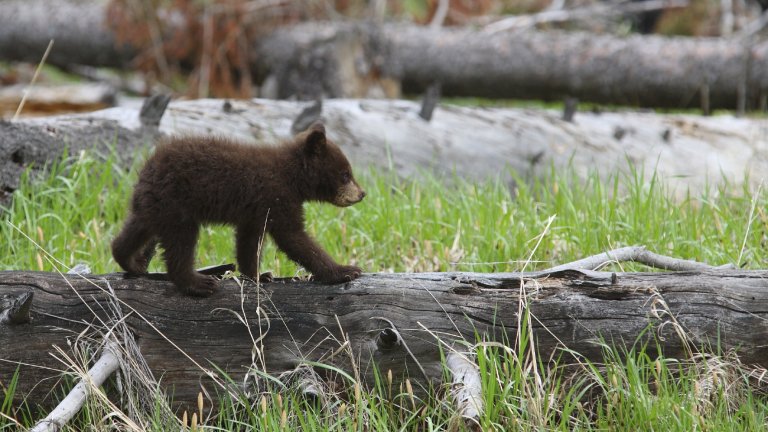 Keeping You Healthy and Safe in Jackson Hole