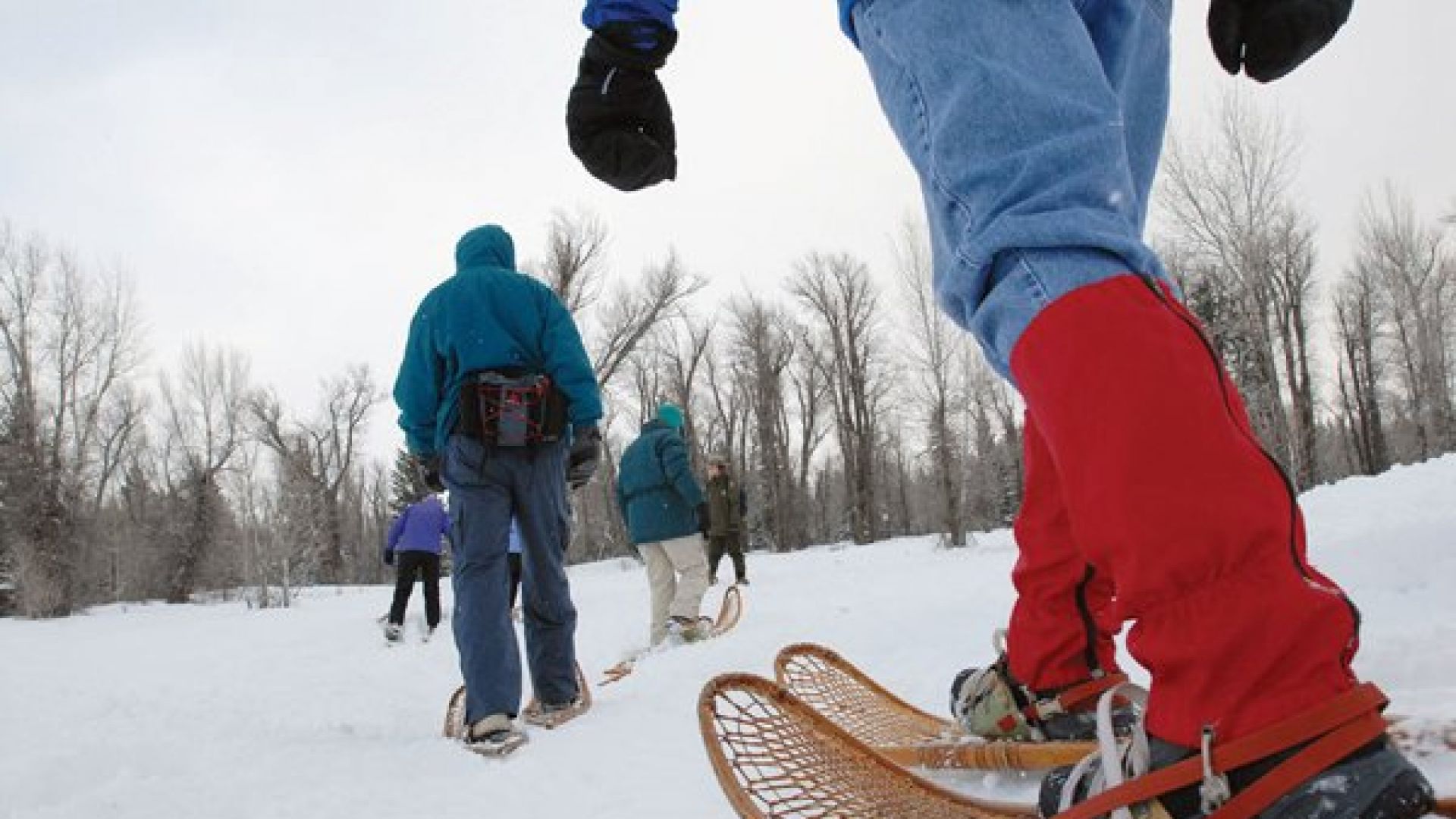 snowshoeing