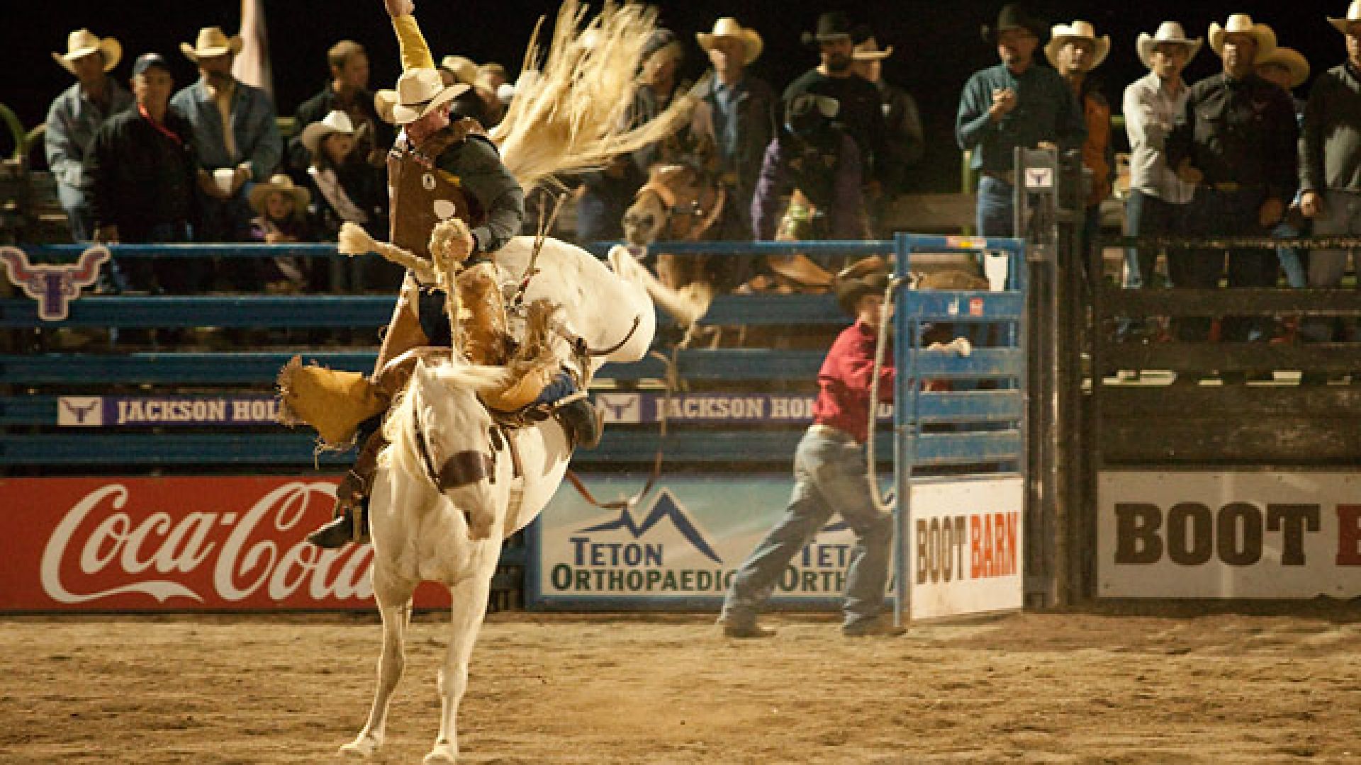 Jackson Hole Rodeo Jackson Hole Central Reservations