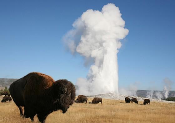 Luxury Summer Vacation Itineraries in Jackson Luxury Summer Vacation Itineraries in Jackson